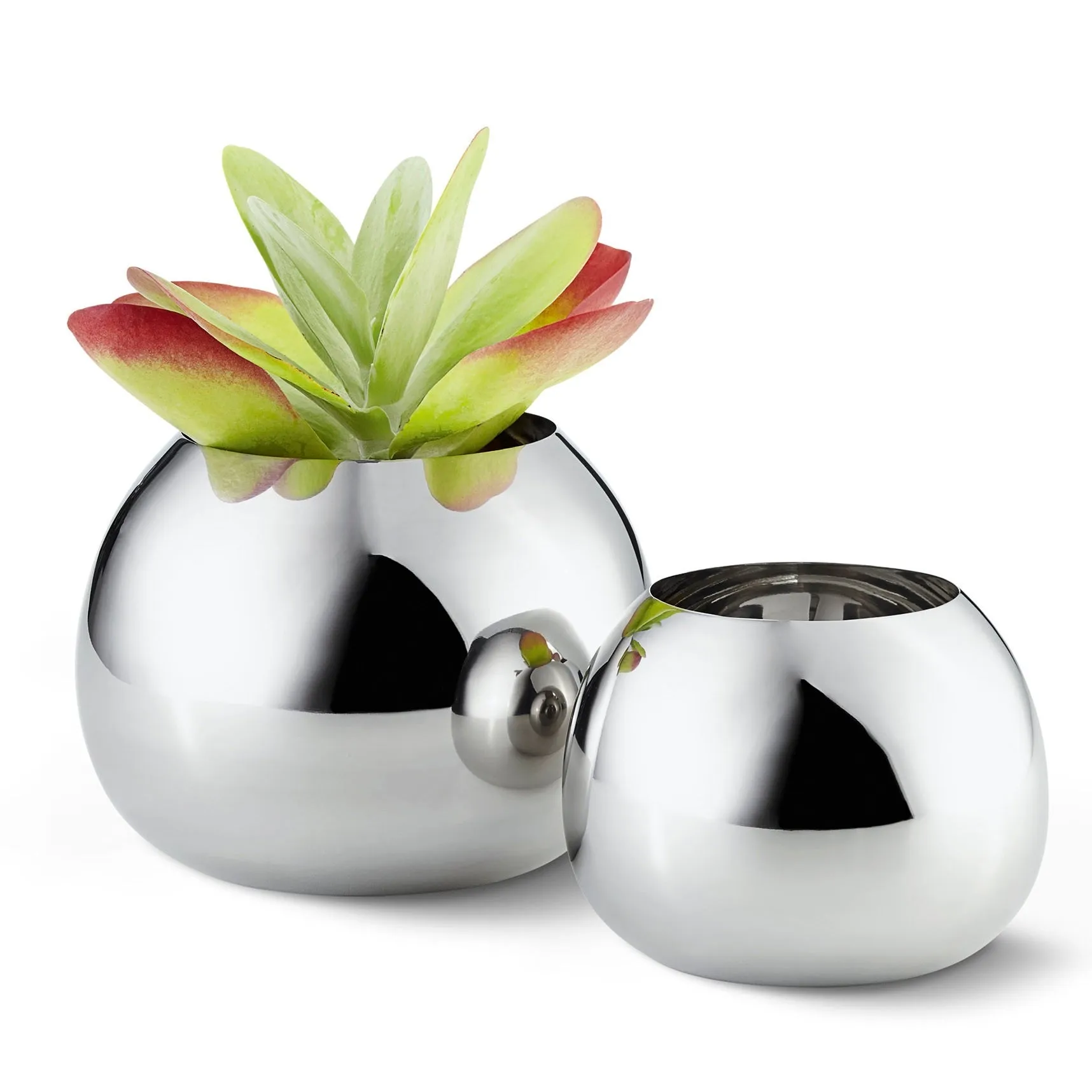 Bella Vase