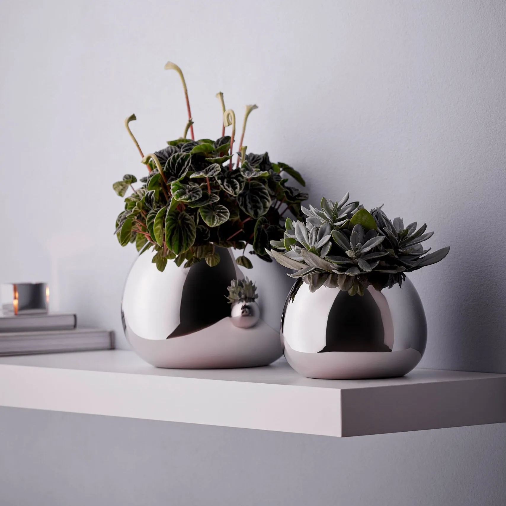 Bella Vase