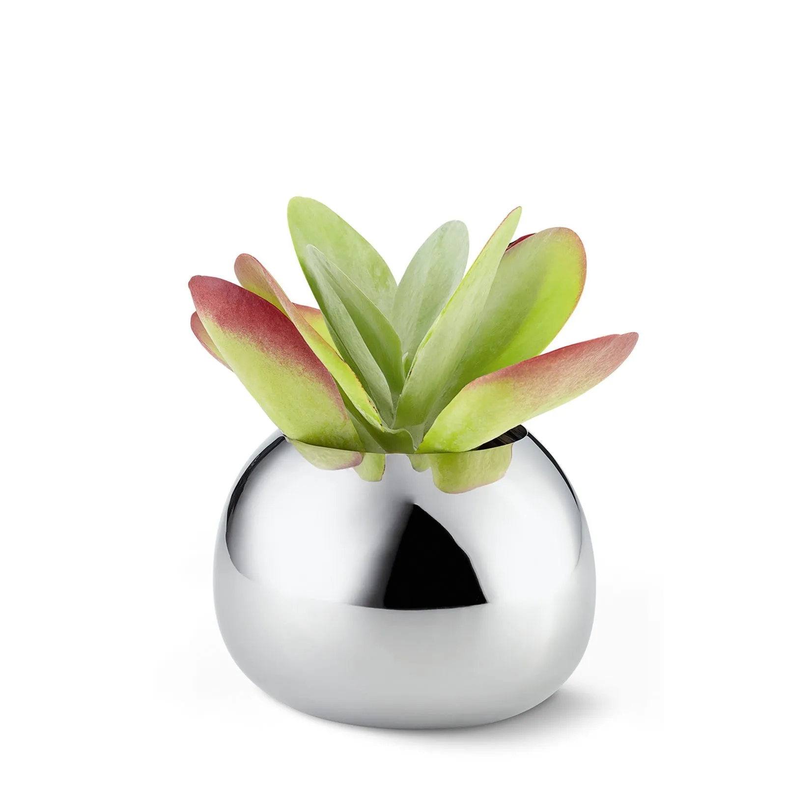 Bella Vase