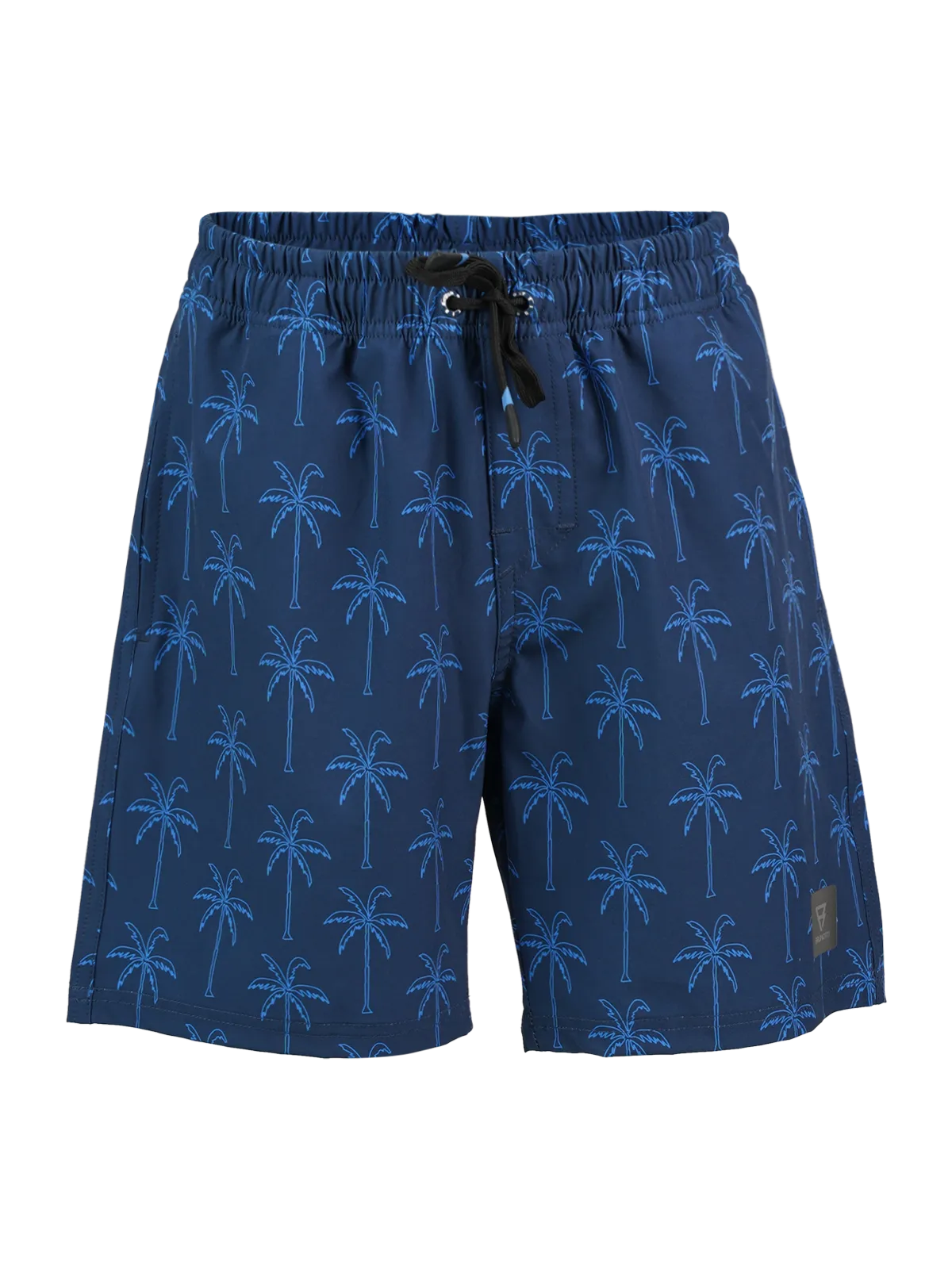 Darminy Boys Swim Shorts | Blue