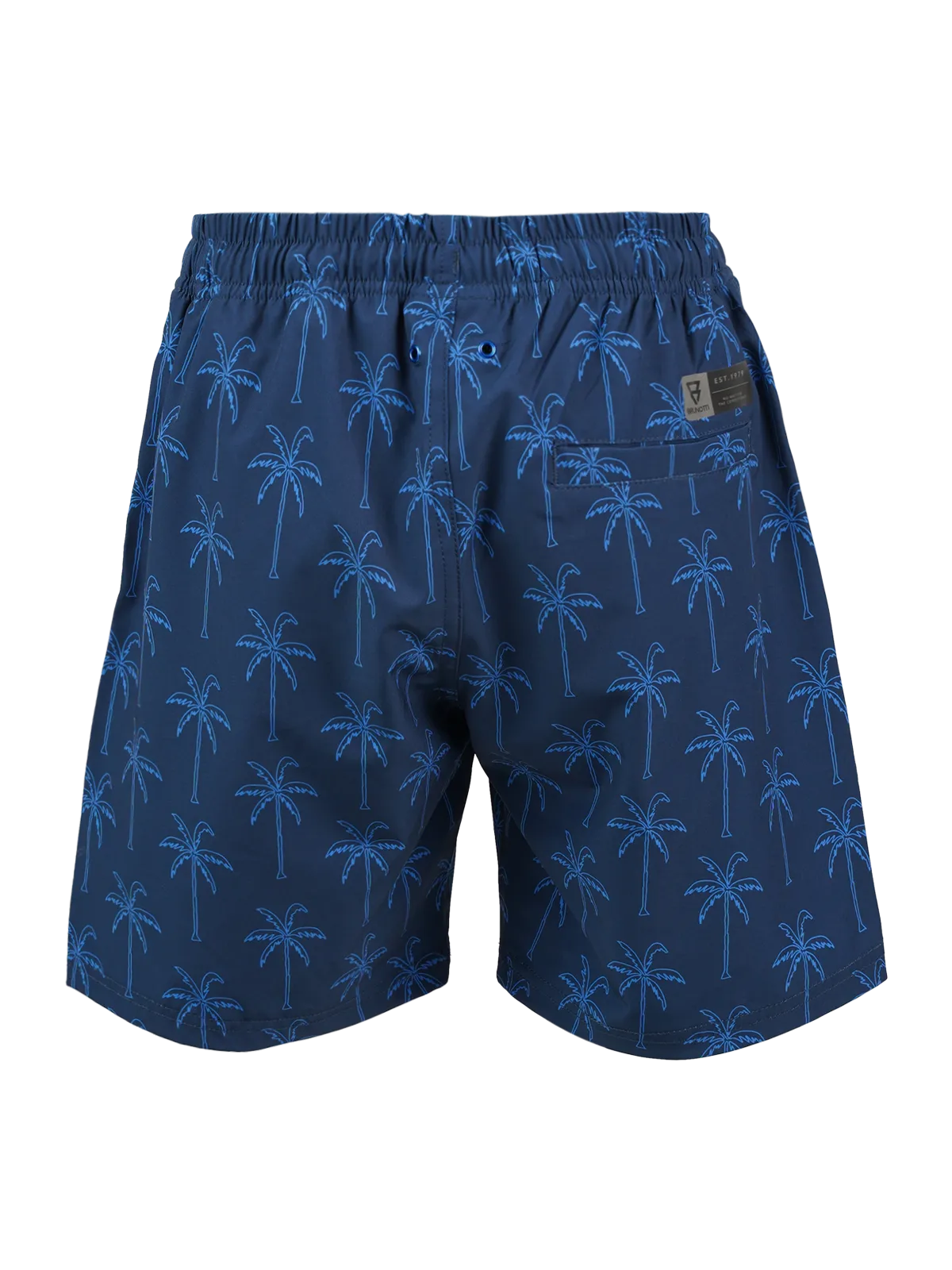 Darminy Boys Swim Shorts | Blue