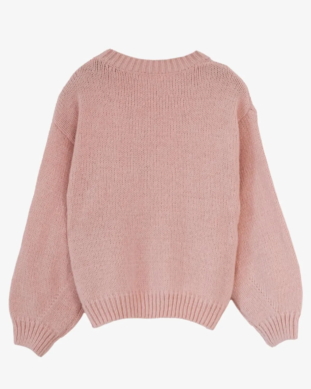 Migratory Bird Guide Floral Crewneck Long Sleeve Sweaters for Women 2024 Trendy