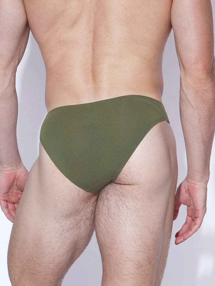 TLC Modal Brief