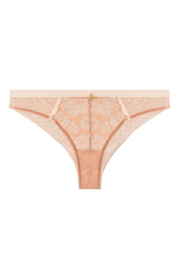 ZARINA Lace Comfortable Dotted Mesh Brief
