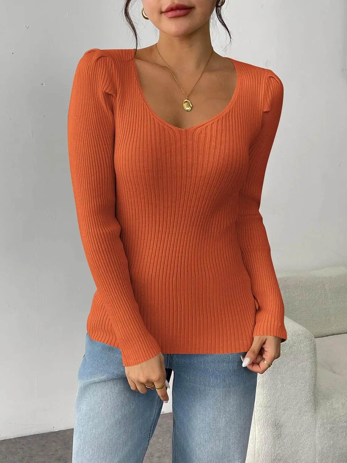 Zeagoo Fall Sweaters for Women 2024 Casual Long Sleeve Shirts V Neck Pullover Puff Slim Fit Tops