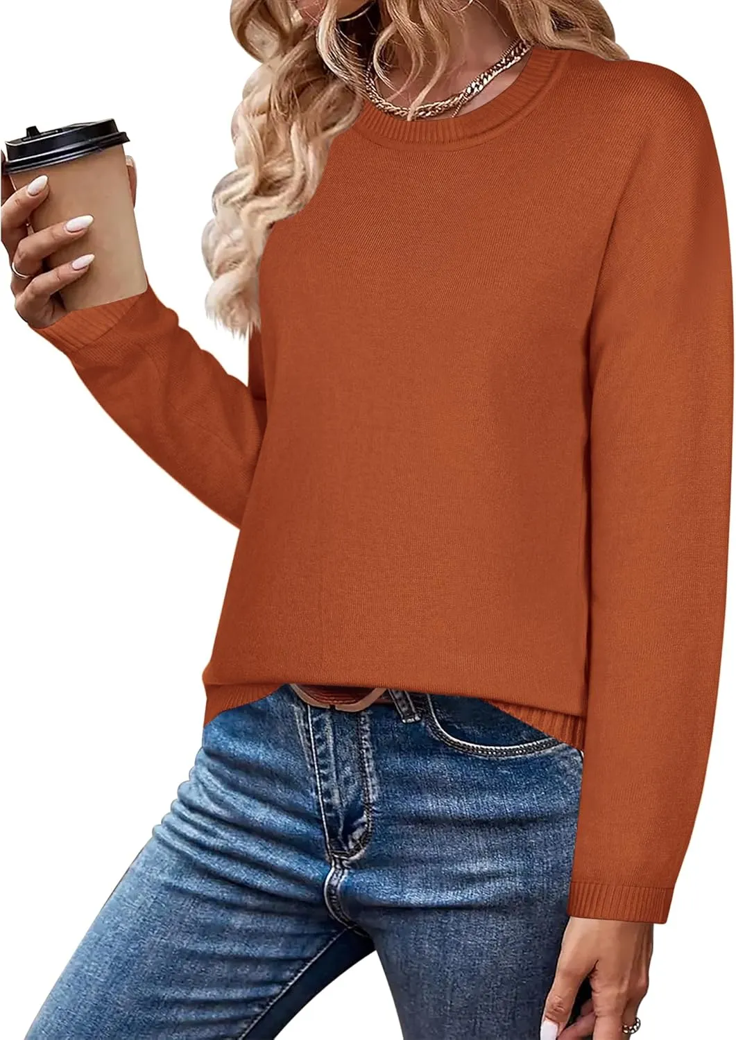 Zeagoo Sweaters for Women Fall Outfits Trendy 2024 Long Sleeve Crew Neck Knit Pullover Sweater Tops